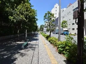 通り沿いを直進します