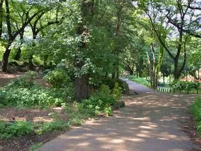 都立戸山公園