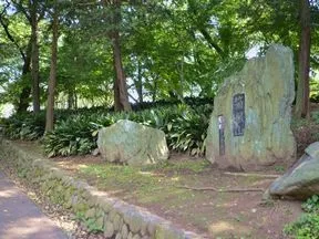 都立戸山公園 箱根山