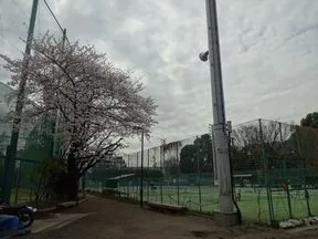 麻布運動場