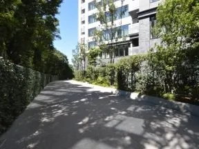 敷地内西側歩行者専用通路
