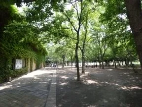 赤羽自然観察公園