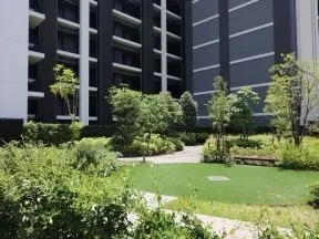 憩いの森(広場状公開空地)