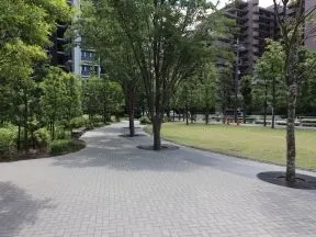 木漏れ日の森(広場状公開空地)