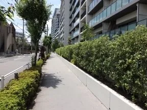 緑の回廊(歩道状公開空地)