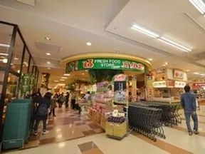 文化堂　豊洲店