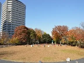 川口西公園（リリアパーク）