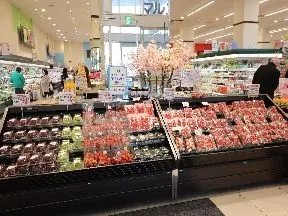 マルエツキュポラ川口店