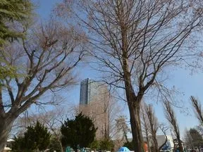子安公園