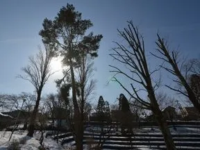 六本杉公園