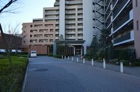 カーアプローチ