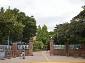 東京藝術大学