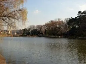 石神井公園