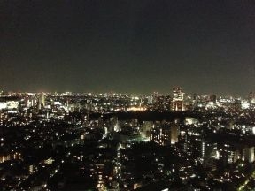 ４１階からの眺望　【白金台・恵比寿方面<br>】　夜景