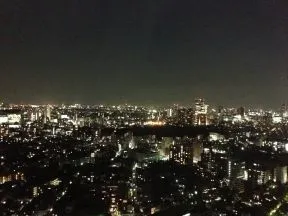 ４１階からの眺望　【白金台・恵比寿方面<br>】　夜景