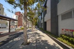 THE CENTER TOKYOの前<br>面道路です