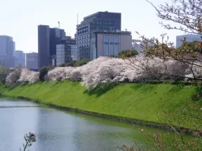 千鳥が淵