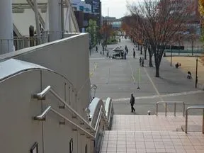 駅からまっすぐ続く並木道