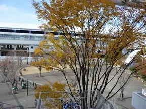 流山おおたかの森駅南口都市広場