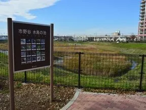 市野谷水鳥の池