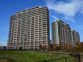 南側、「市野谷水鳥の池」からマンション<br>を臨む