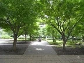 晴海第二公園
