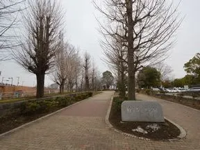柏ふるさと公園