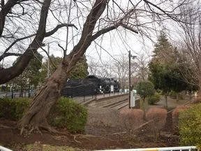 柏西口第一公園