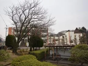 柏市民文化会館