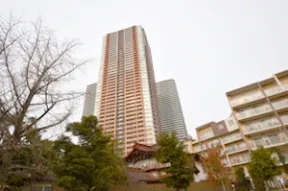 南側より離れた場所から