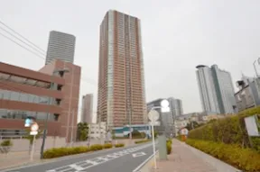 南西側より離れた場所から