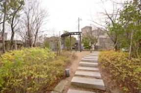 木陰の広場