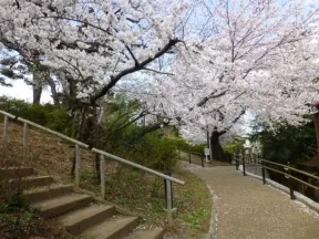 鵜の木松山公園