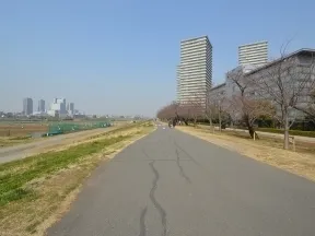 多摩川河川敷サイクリングコース