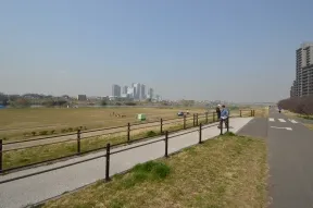 南側の多摩川ガス橋緑地