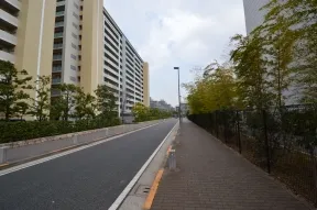 北側道路