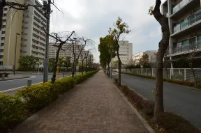 西側道路