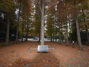 東池袋中央公園