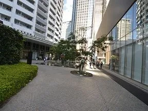 南側敷地と外観