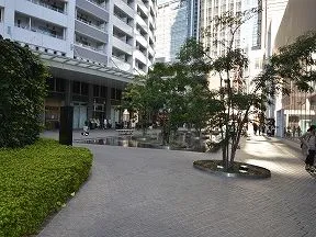 南側敷地と外観