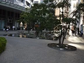 南側敷地と外観