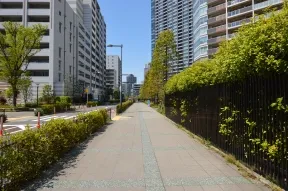 豊洲北小学校を右手に見ながら直進