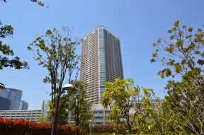 南東より望むTHE TOYOSU TO<br>WER