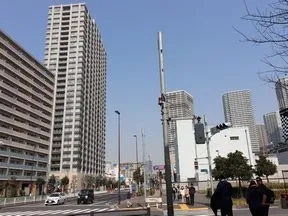湾岸道路の信号を渡る
