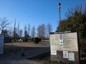 都立辰巳の森海浜公園
