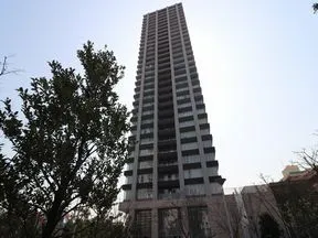 提供公園より見上げる