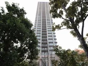 提供公園より見上げる