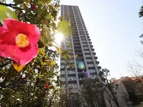 提供公園より見上げる