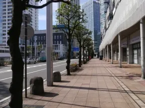 ザ・ヨコハマタワーズ前の道
