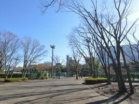 有明テニスの森